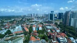 Residences @ Evelyn (D11), Condominium #582349121